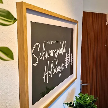 Urlaub Mit Talblick In Apartment Schoenwald im Schwarzwald