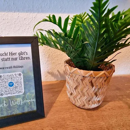 Apartment Urlaub Mit Talblick In *